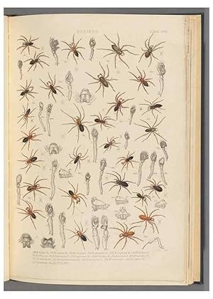 Seller image for Reproduccin/Reproduction 49643689957: A history of the spiders of Great Britain and Ireland /. London :Published for the Ray Society by Robert Hardwicke,1861-1864. for sale by EL BOLETIN