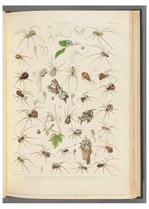 Seller image for Reproduccin/Reproduction 49643689032: A history of the spiders of Great Britain and Ireland /. London :Published for the Ray Society by Robert Hardwicke,1861-1864. for sale by EL BOLETIN