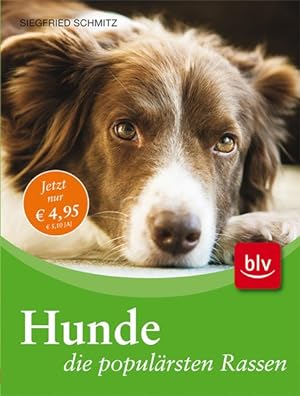 Seller image for Hunde - die populrsten Rassen: Wie sie sind - wie man sie hlt for sale by Versandantiquariat Felix Mcke