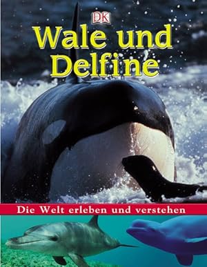 Bild des Verkufers fr Wale und Delfine zum Verkauf von Versandantiquariat Felix Mcke