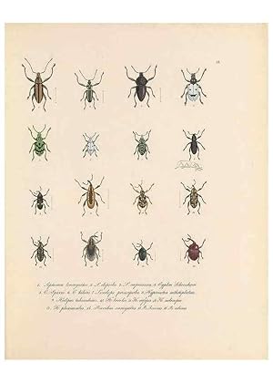 Seller image for Reproduccin/Reproduction 49430829048: Delectus animalium articulatorum :. Monachii :Impensis Editoris,1830-1834. for sale by EL BOLETIN