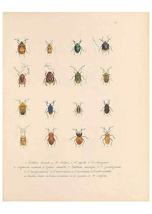 Seller image for Reproduccin/Reproduction 49430834233: Delectus animalium articulatorum :. Monachii :Impensis Editoris,1830-1834. for sale by EL BOLETIN