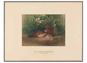 Image du vendeur pour Reproduccin/Reproduction 49419079796: Zoological sketches /. London :Henry Graves,1861-1867. mis en vente par EL BOLETIN