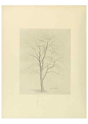 Image du vendeur pour Reproduccin/Reproduction 49420358261: British trees /. London :Hutchinson,1907. mis en vente par EL BOLETIN