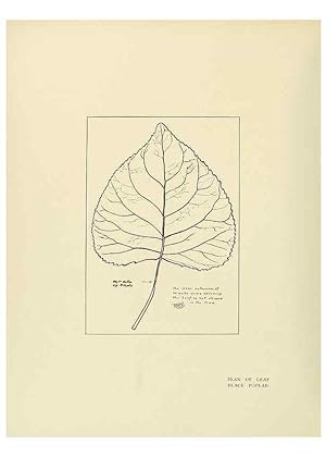 Image du vendeur pour Reproduccin/Reproduction 49420355601: British trees /. London :Hutchinson,1907. mis en vente par EL BOLETIN