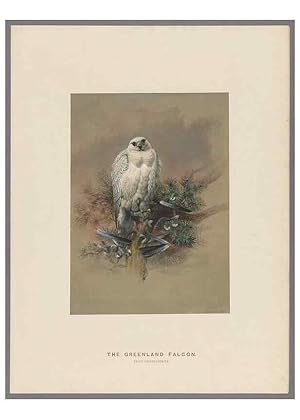 Image du vendeur pour Reproduccin/Reproduction 49418608333: Zoological sketches /. London :Henry Graves,1861-1867. mis en vente par EL BOLETIN