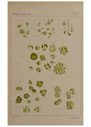 Imagen del vendedor de Reproduccin/Reproduction 49298906826: E?tude critique et expe?rimentale sur le polymorphisme des algues,. Gene`ve,Georg,1909. a la venta por EL BOLETIN