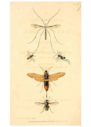 Seller image for Reproduccin/Reproduction 49535077061: An introduction to entomology, or, Elements of the natural history of insects : with plates /. London :Printed for Longman, Hurst, Rees, Orme, and Brown,1816-1826. for sale by EL BOLETIN