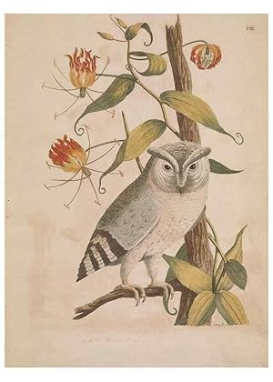 Image du vendeur pour Reproduccin/Reproduction 49534520263: Indian zoology. [London] :[publisher not identified],[1769]. mis en vente par EL BOLETIN