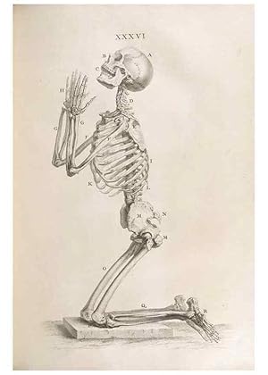 Bild des Verkufers fr Reproduccin/Reproduction 48832976647: Osteographia, or the Anatomy of the Bones. London,1733. zum Verkauf von EL BOLETIN