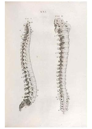 Bild des Verkufers fr Reproduccin/Reproduction 48832434823: Osteographia, or the Anatomy of the Bones. London,1733. zum Verkauf von EL BOLETIN