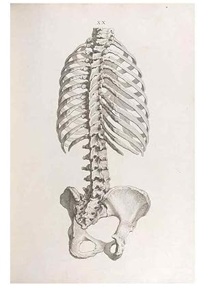 Bild des Verkufers fr Reproduccin/Reproduction 48832454298: Osteographia, or the Anatomy of the Bones. London,1733. zum Verkauf von EL BOLETIN