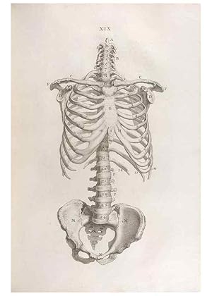 Bild des Verkufers fr Reproduccin/Reproduction 48832970712: Osteographia, or the Anatomy of the Bones. London,1733. zum Verkauf von EL BOLETIN