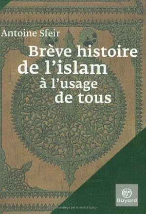 Breve histoire de l islam a l'usage de tous