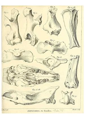 Imagen del vendedor de Reproduccin/Reproduction 49065322492: Recherches sur les ossemens fossiles de quadrupdes. Paris :Deterville,1812. a la venta por EL BOLETIN