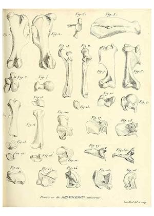 Seller image for Reproduccin/Reproduction 49065321047: Recherches sur les ossemens fossiles de quadrupdes. Paris :Deterville,1812. for sale by EL BOLETIN