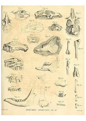 Seller image for Reproduccin/Reproduction 49064968478: Recherches sur les ossemens fossiles de quadrupdes. Paris :Deterville,1812. for sale by EL BOLETIN