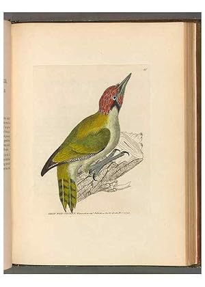 Seller image for Reproduccin/Reproduction 49054143608: The birds of Great Britain,. 1795-1801. for sale by EL BOLETIN