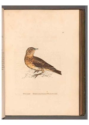 Bild des Verkufers fr Reproduccin/Reproduction 49055144256: The birds of Great Britain,. 1795-1801. zum Verkauf von EL BOLETIN