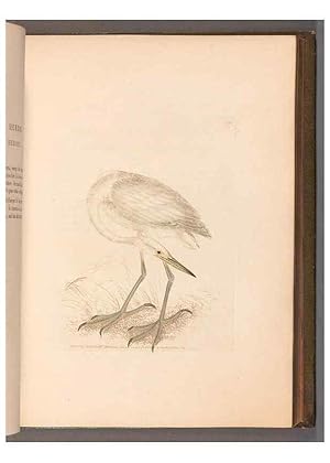 Bild des Verkufers fr Reproduccin/Reproduction 49054763808: The birds of Great Britain,. 1795-1801. zum Verkauf von EL BOLETIN