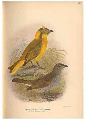 Image du vendeur pour Reproduccin/Reproduction 48744058232: The Birds of Australia. London :Witherby & Co.,1910-1927. mis en vente par EL BOLETIN