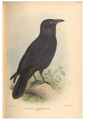 Seller image for Reproduccin/Reproduction 48743885116: The Birds of Australia. London :Witherby & Co.,1910-1927. for sale by EL BOLETIN