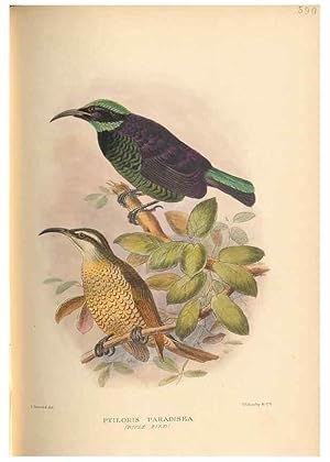 Seller image for Reproduccin/Reproduction 48744058782: The Birds of Australia. London :Witherby & Co.,1910-1927. for sale by EL BOLETIN