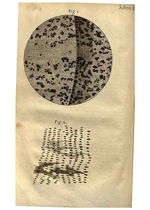 Imagen del vendedor de Reproduccin/Reproduction 48536249276: Micrographia, or, Some physiological descriptions of minute bodies made by magnifying glasses :. London :Printed by Jo. Martyn and Ja. Allestry, printers to the Royal Society . ,1665. a la venta por EL BOLETIN