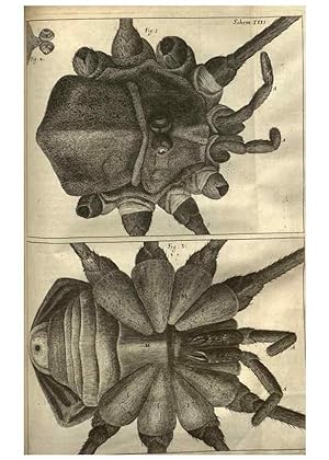 Seller image for Reproduccin/Reproduction 48536258126: Micrographia, or, Some physiological descriptions of minute bodies made by magnifying glasses :. London :Printed by Jo. Martyn and Ja. Allestry, printers to the Royal Society . ,1665. for sale by EL BOLETIN