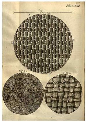 Immagine del venditore per Reproduccin/Reproduction 48536398542: Micrographia, or, Some physiological descriptions of minute bodies made by magnifying glasses :. London :Printed by Jo. Martyn and Ja. Allestry, printers to the Royal Society . ,1665. venduto da EL BOLETIN