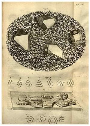 Image du vendeur pour Reproduccin/Reproduction 48536395637: Micrographia, or, Some physiological descriptions of minute bodies made by magnifying glasses :. London :Printed by Jo. Martyn and Ja. Allestry, printers to the Royal Society . ,1665. mis en vente par EL BOLETIN