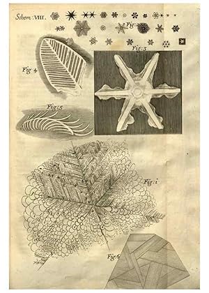 Imagen del vendedor de Reproduccin/Reproduction 48536248226: Micrographia, or, Some physiological descriptions of minute bodies made by magnifying glasses :. London :Printed by Jo. Martyn and Ja. Allestry, printers to the Royal Society . ,1665. a la venta por EL BOLETIN