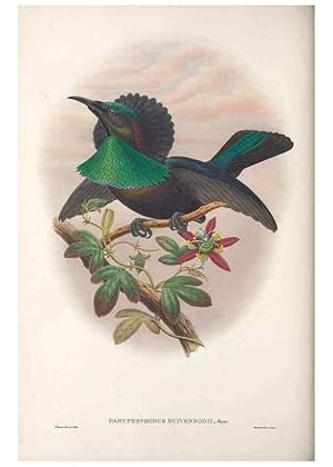 Seller image for Reproduccin/Reproduction 48367343707: Monograph of the Paradiseidae, or birds of paradise and Ptilonorhynchidae, or bower-birds. London :H. Sotheran & Co.,1891-98. for sale by EL BOLETIN