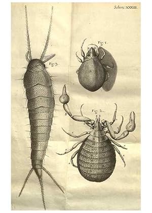 Seller image for Reproduccin/Reproduction 48536259546: Micrographia, or, Some physiological descriptions of minute bodies made by magnifying glasses :. London :Printed by Jo. Martyn and Ja. Allestry, printers to the Royal Society . ,1665. for sale by EL BOLETIN