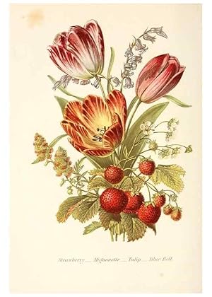 Imagen del vendedor de Reproduccin/Reproduction 48591715412: The language of flowers, or, Floral emblems of thoughts, feelings, and sentiments /. London ;G. Routledge,1869. a la venta por EL BOLETIN