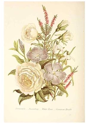 Imagen del vendedor de Reproduccin/Reproduction 48591571831: The language of flowers, or, Floral emblems of thoughts, feelings, and sentiments /. London ;G. Routledge,1869. a la venta por EL BOLETIN