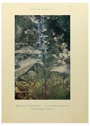 Immagine del venditore per Reproduccin/Reproduction 48592355237: Summer flowers of the high Alps /. London :Dent ;1910. venduto da EL BOLETIN