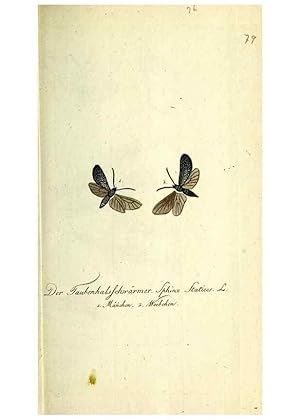 Imagen del vendedor de Reproduccin/Reproduction 48317110837: Getreue Abbildungen naturhistorischer Gegenstnde in Hinsicht auf Bechsteins kurzgefasste gemeinntzige Naturgeschichte des In- und Auslandes :. Nrnberg :In der Schneider und Weigelschen Kunst- und Buch- handlung,[1793-1809]. a la venta por EL BOLETIN