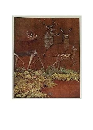 Image du vendeur pour Reproduccin/Reproduction 48346734561: The childhood of animals,. New York,F. A. Stokes[1912]. mis en vente par EL BOLETIN