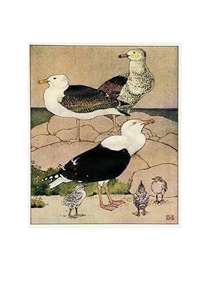 Image du vendeur pour Reproduccin/Reproduction 48346872642: The childhood of animals,. New York,F. A. Stokes[1912]. mis en vente par EL BOLETIN