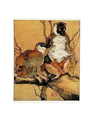 Image du vendeur pour Reproduccin/Reproduction 48346873502: The childhood of animals,. New York,F. A. Stokes[1912]. mis en vente par EL BOLETIN