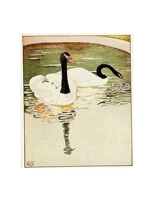 Image du vendeur pour Reproduccin/Reproduction 48346874162: The childhood of animals,. New York,F. A. Stokes[1912]. mis en vente par EL BOLETIN