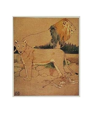 Image du vendeur pour Reproduccin/Reproduction 48346733636: The childhood of animals,. New York,F. A. Stokes[1912]. mis en vente par EL BOLETIN