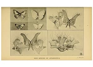Seller image for Reproduccin/Reproduction 48683929702: Transactions of the Entomological Society of London. London,The Society. for sale by EL BOLETIN