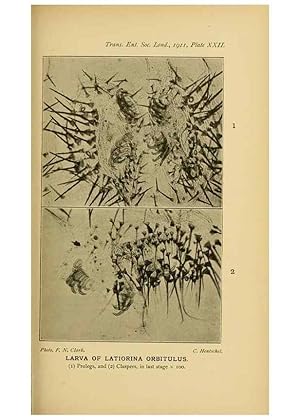 Immagine del venditore per Reproduccin/Reproduction 48683753881: Transactions of the Entomological Society of London. London,The Society. venduto da EL BOLETIN