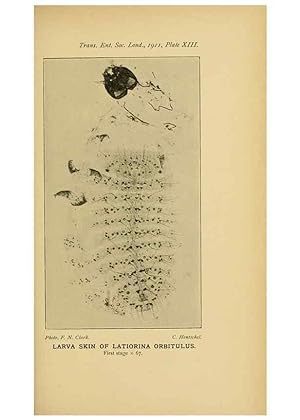 Immagine del venditore per Reproduccin/Reproduction 48683924312: Transactions of the Entomological Society of London. London,The Society. venduto da EL BOLETIN