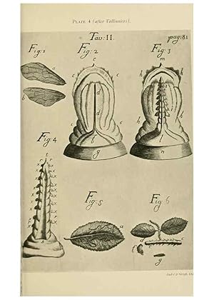 Seller image for Reproduccin/Reproduction 48683918287: Transactions of the Entomological Society of London. London,The Society. for sale by EL BOLETIN