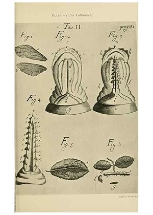 Immagine del venditore per Reproduccin/Reproduction 48683918287: Transactions of the Entomological Society of London. London,The Society. venduto da EL BOLETIN