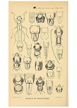 Immagine del venditore per Reproduccin/Reproduction 48683922017: Transactions of the Entomological Society of London. London,The Society. venduto da EL BOLETIN