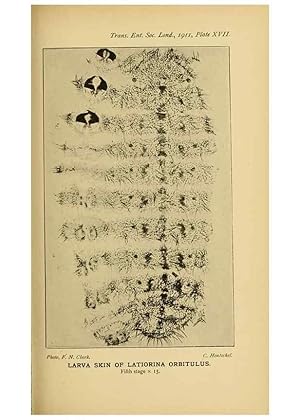 Immagine del venditore per Reproduccin/Reproduction 48683752141: Transactions of the Entomological Society of London. London,The Society. venduto da EL BOLETIN